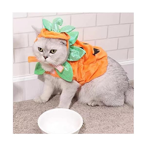 Aniac pet pumpkin costume cat halloween hat cloak sets puppy poncho dog halloween cosplay for kitty small medium sized dog - image 4