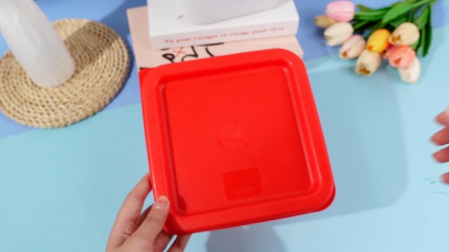 Amazon.com: Ziliny 6 Pieces 4 Quart Commercial Food Storage