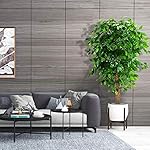 6ft Artificial Ficus Silk Tree (72in) with Plastic Nursery Pot Faux Tree, Fake Plant for Office House Farmhouse Living Room Home Decor (Indoor/Outdoor) - Image 3