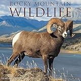 Rocky Mountain Wildlife 2020 Calendar