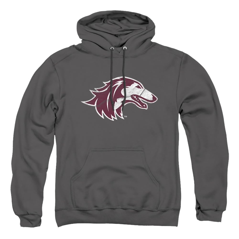 LOGOVISION Official Collegiate Distressed Primary Logo Adult Pullover Hoodie Collection — view 218