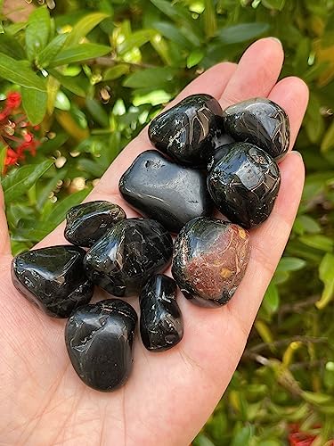 Image of GAF TREASURES 1 /2 LB Black Onyx Tumbled Stones, Polished Natural Black Onyx Gemstone, Black Onyx Healing Crystals (Black Onyx)