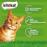 Kitekat Katzenfutter Nassfutter Markt-Mix in Gelee – Feuchtfutter in 48 Portionsbeuteln – 2er Pack (2 x 24 Portionsbeutel à 85g)