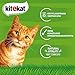 Kitekat Katzenfutter Nassfutter Markt-Mix in Gelee – Feuchtfutter in 48 Portionsbeuteln – 2er Pack (2 x 24 Portionsbeutel à 85g)