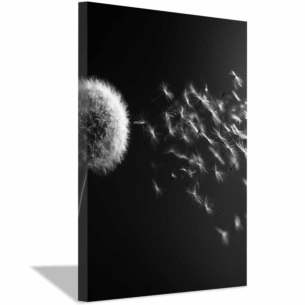 HOQIU Black And White Canvas Pictures Monochrome Dandelions Seed prints for walls, canvas wall art, for Living Room Bedroom Bathroom Home Office Wall Decoration(Multicolor)-70x100cm Framed