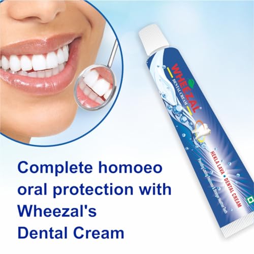Image of WHEEZAL Hekla Lava Dental Cream (Tooth Paste) (100g) (PACK OF 3), Freshening