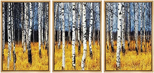 wall26 Framed Aspen Trees Fall Colors - Canvas Art Wall Art - 24"x36"x3 Natural