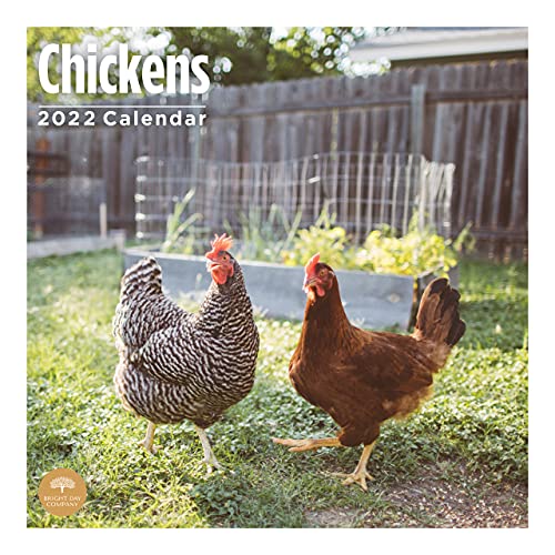 2022 Chickens Wall Calendar by Bright Day, 12 x 12 Inch, Farm Animals Calendars for Cause Collection