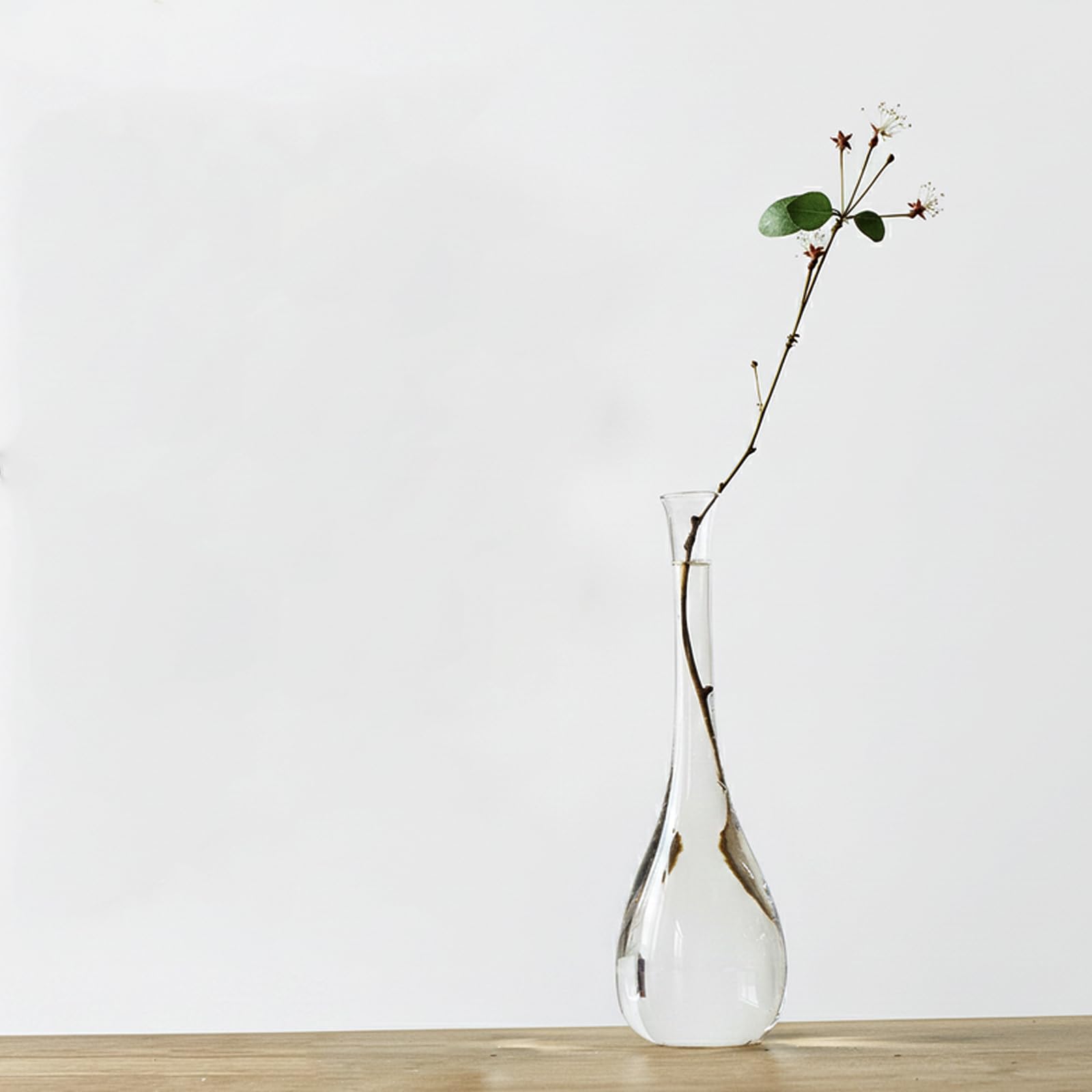 Amazon.co.jp: MiniMood【高さ23cm】 ガラス 花瓶 透明 細長い