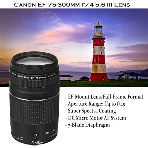 Cámara Canon EOS Rebel T7 DSLR con Lentes y Accesorios miniatura 4