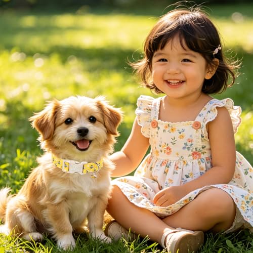 Image of Summer Bee Dog Collar, Cute Bee and Floral Pattern Cotton Adjustable Pet Collar with Durable Quick Release Buckle, Soft Lightweight for Small Medium Large Dogs