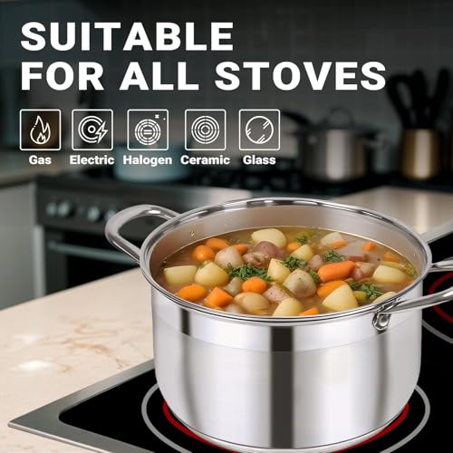 Image of Kirecoo 12 Quart Stainless Steel Heavy Duty Stock Pot with Visible Lid