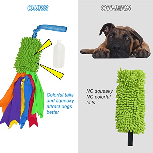 Tekcam Hundespielzeug Mop Bungee Tug Spielzeug mit Squeaky, Zerrspielzeug Hund mit Bungee Griff Chaser Spiele Pull Tugger Spielzeug Kauspielzeug füR Kleine Mittlere GroßE Hunde Training Agility