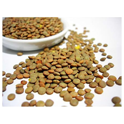 100 Semi di Lenticchie Brune (Lens culinaris)