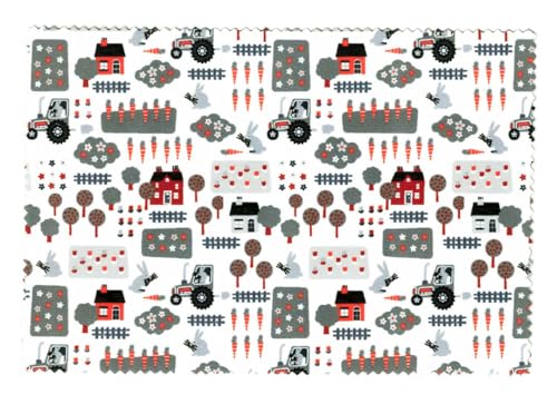 [VXeNX] }CNt@Co[ Kl@ KD B017  O[ 10×15cm 100 PART1 ɍב@ N[jONX RlNg