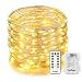 Homestarry HS-B-SL-011 132 Battery Operated Micro LED String Lights, 32-Feet with Wireless handheld remote control, Warm White