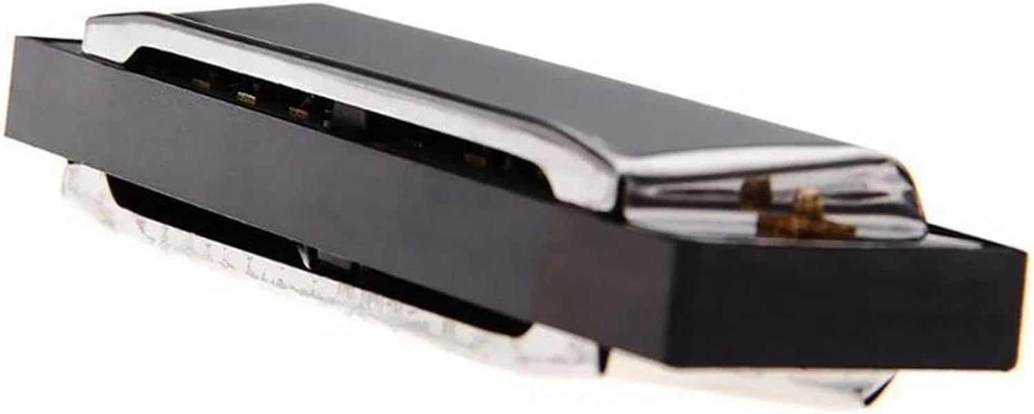 バンドハーモニカ 10穴ダイアトニックハーモニカ リン青銅リード楽器