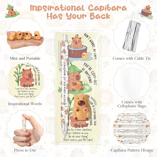 Stylo à bille inspirant capybara pack 20 balles anti-stress enseignant - 3