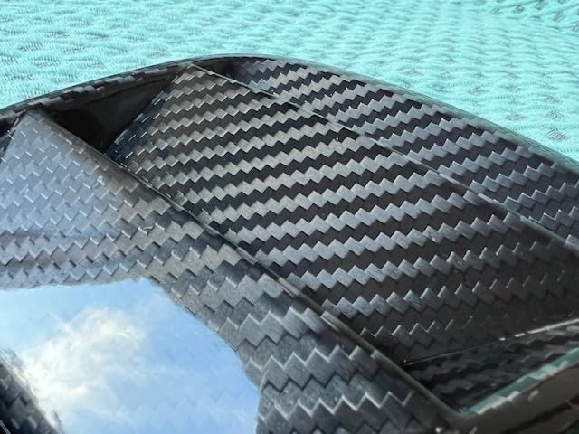 高品質 アバルト テールライト センターガーニッシュ リアル ドライ