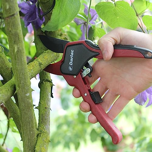 Darlac Classic Ratchet Pruner - Image 2