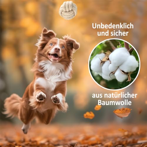 Romneys Tauball mit Seil für Hunde - Knotenball mit Wurfseil für Apportspiele - Unterstützt die Maulhygiene und Zahnpflege - Spielspaß für Ihren Hund