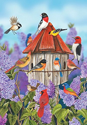 Briarwood Lane Birds and Lilacs Spring Garden Flag Birdhouse Floral Cardinal 12.5