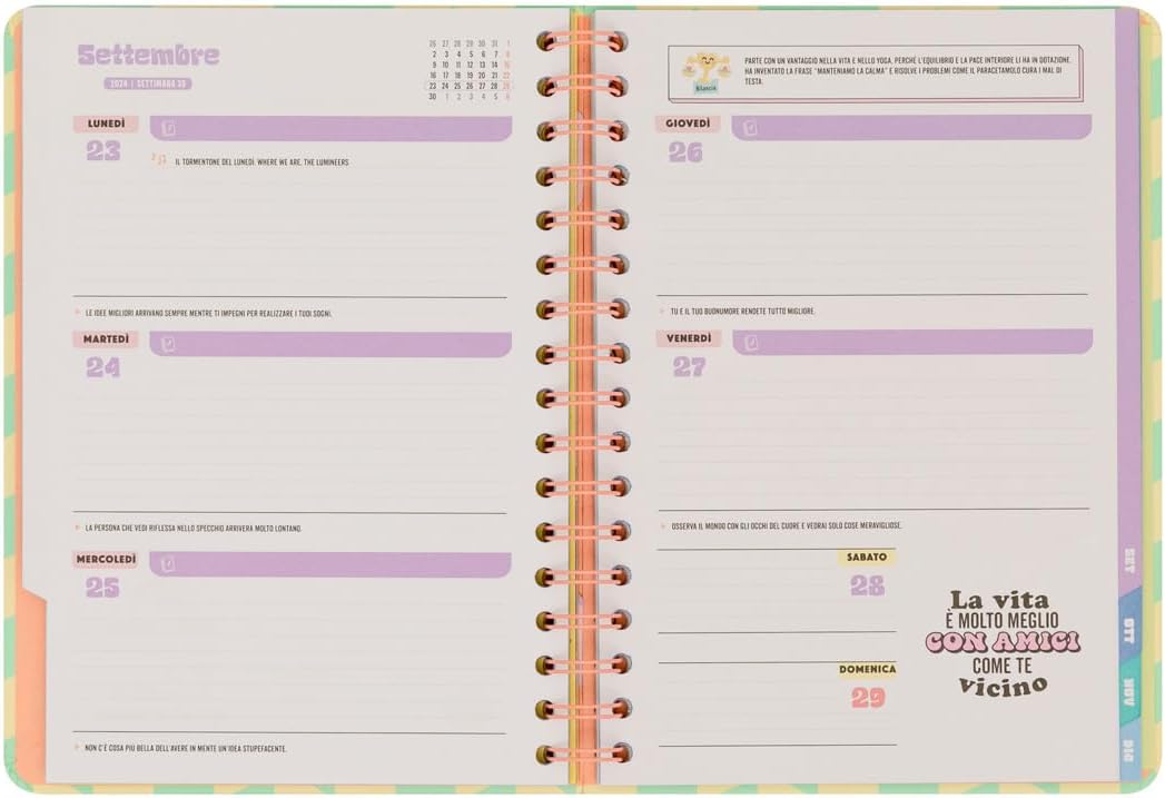Mr.Wonderful Festival 2024 Weekly Diary – Chased Dream, Dream Fulfilled 22.1 x 2.1 x 15.6 cm