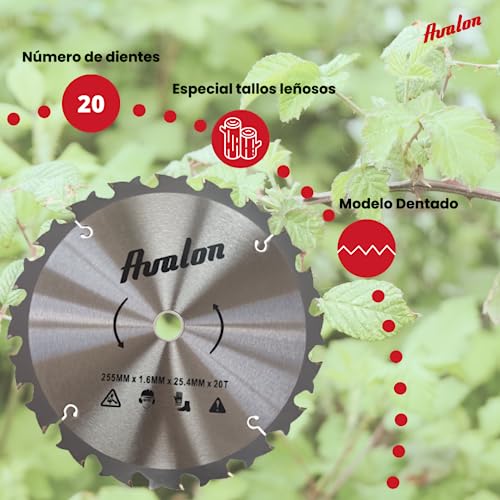 Miniatura 2 de Avalon - Disco De 20 Dientes Antirrebote Para Desbrozadora, Cuchilla Especial Para Tallos Leñosos 255 X 1,6 Mm, Longitud Del Diente De Widia 6 Mm