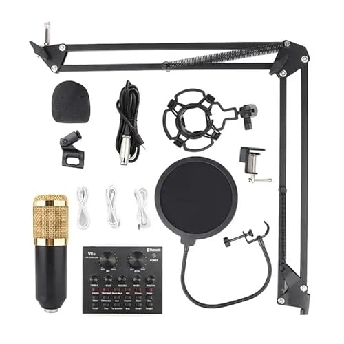 Kit Studio Para Gravação Com Microfone e Condensador BM801