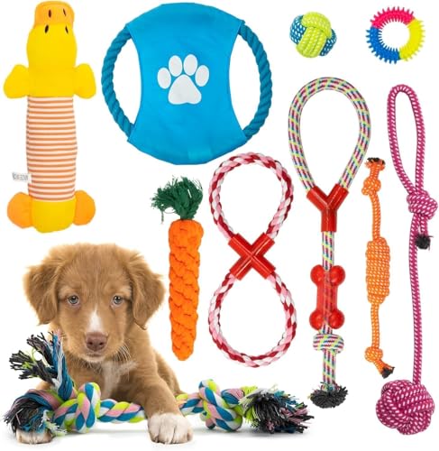 Fur & Bone Giochi per Cani Set 10 Pezzi – Giochi da Masticare Interattivi e Corde Indistruttibili per Cani – Giocattoli per Dentizione e Addestramento per Cane di Taglia Piccola e Media