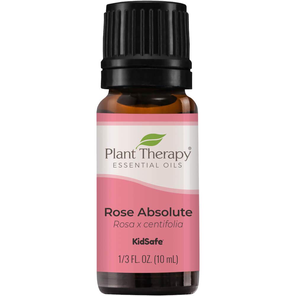 Plant Therapy Rose Absolute Essential Oil 100% Pure, Undiluted, Natural Aromatherapy, Therapeutic Grade 10 mL (1/3 oz)