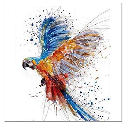 fggfgjg Boutique Aluminum Oxide Black Fiber Network 4k*2k BLU-Ray Player HDMI HD Line 10M Black