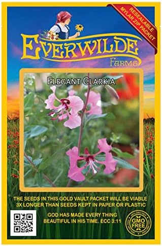 1000 Dame's Rocket Wildflower Seeds - Everwilde Farms Mylar 1000 Dame's Rocket Wildflower Seeds - Everwilde Farms Mylar