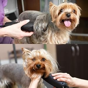 Detachable A Series Wide 30 Blades for Dog Grooming Cuts length 1/50″ – 0.5mm Japanese Carbonized Steel Wide Grooming Blades Compatible A5 Series Wide Clippers for Dogs(30W)