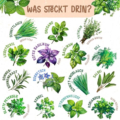 ZenGreens® - Bio Kräuter Samen Set - 15 Kräutersamen für den einfachen Anbau im Garten, Balkon oder Hochbeet - Pfalnzensamen - Saatgut