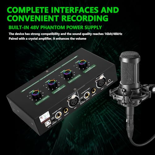 Amplificateur de microphone double avec processeur de réverbération studio - 4