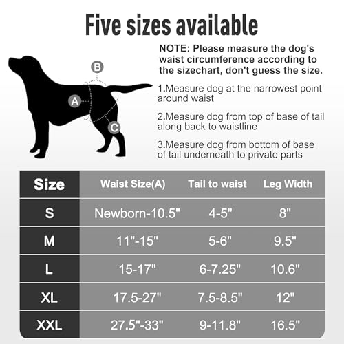 Image of Washable Reusable Female Dog Diapers(5 Pack) Small Medium Large Doggie Puppy & Doggy Dog Diaper, Period Panties in Heat Medium Black