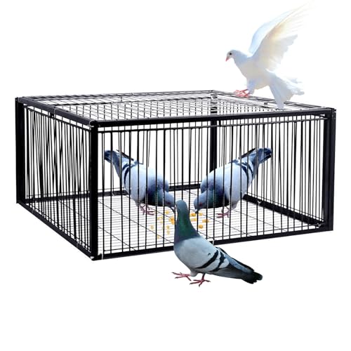 ASQUAR Trampa Para Pájaros Con Entrada Unidireccional Jaula Trampa Para Animales Fácil De Montar Con Diseño A Prueba De Fugas Portátil 4 Importada Recolección Automática Jaula Trampa Para Animales(40x