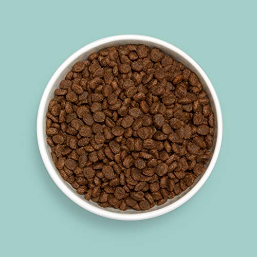 Amazon Brand - Kitzy Dry Cat Food, Whitefish And Pea Recipe, Grain-Free (12 Lb) #TOP2