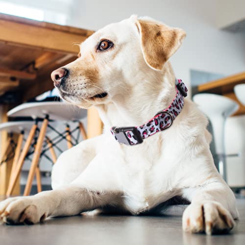 Xyart Girl Dog Collars - Rose, Sunflower, Daisy And Leopard Design In Small, Medium, Large For Female Dogs Leopard Pink S #TOP4
