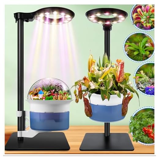 Smart Terrarium Kit for Indoor Plants