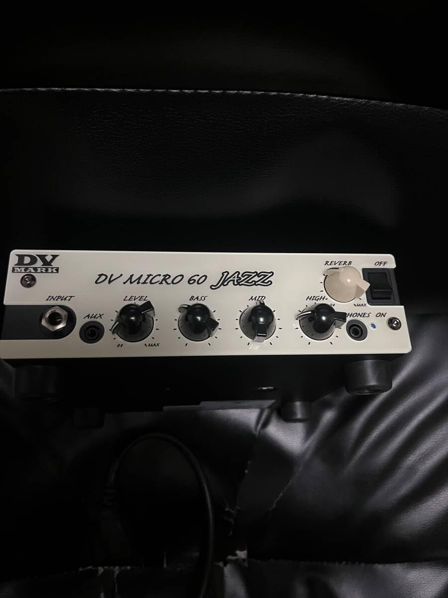 Amazon.co.jp: DV MARK ディーブイマーク DV MICRO 60 JAZZ ギター用 