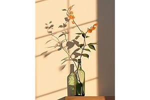 Flower in Bottle Paint by Numbers for Adults