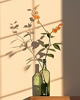 Vista 20 de Tucocoo Bumbers - Pintura de amapola roja para adultos, pintura abstracta de amapola por números, pintura acrílica, lienzo, graffiti, flores rojas