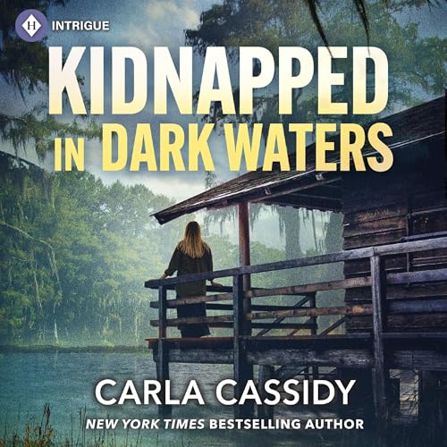 『Kidnapped in Dark Waters』のカバーアート