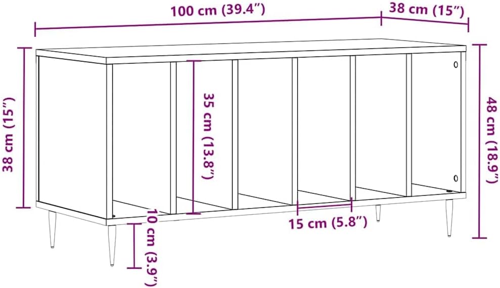 Diagram showing the dimensions of the vidaXL Record Cabinet: 100 cm width, 38 cm depth, 48 cm height, 10 cm leg height, 35 cm internal compartment height, 15 cm internal compartment width.