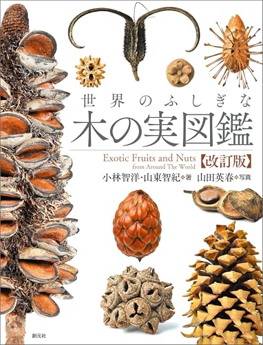 世界のふしぎな木の実図鑑【改訂版】のサムネイル
