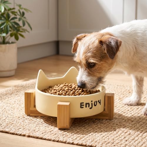 Cuenco de cerámica con orejas de gato y soporte ergonómico de madera maciza 8