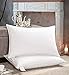AIKOFUL Feather and Down Bed Pillow,Queen Size 2 Pack, Firm Waterfowl Feather Down Pillow, Cotton Cover with Fashionable Piping