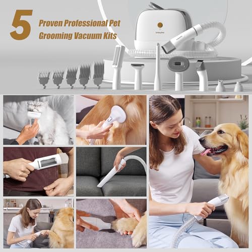 lvittyPet Dog Grooming Kit, 7 in 1 Dog Grooming Vacuum, Pet Vacuum for Shedding Grooming with 3 Suction Mode and 2L Dust Cup, Low Noise Shedding Pet Hair, Home Cleaning